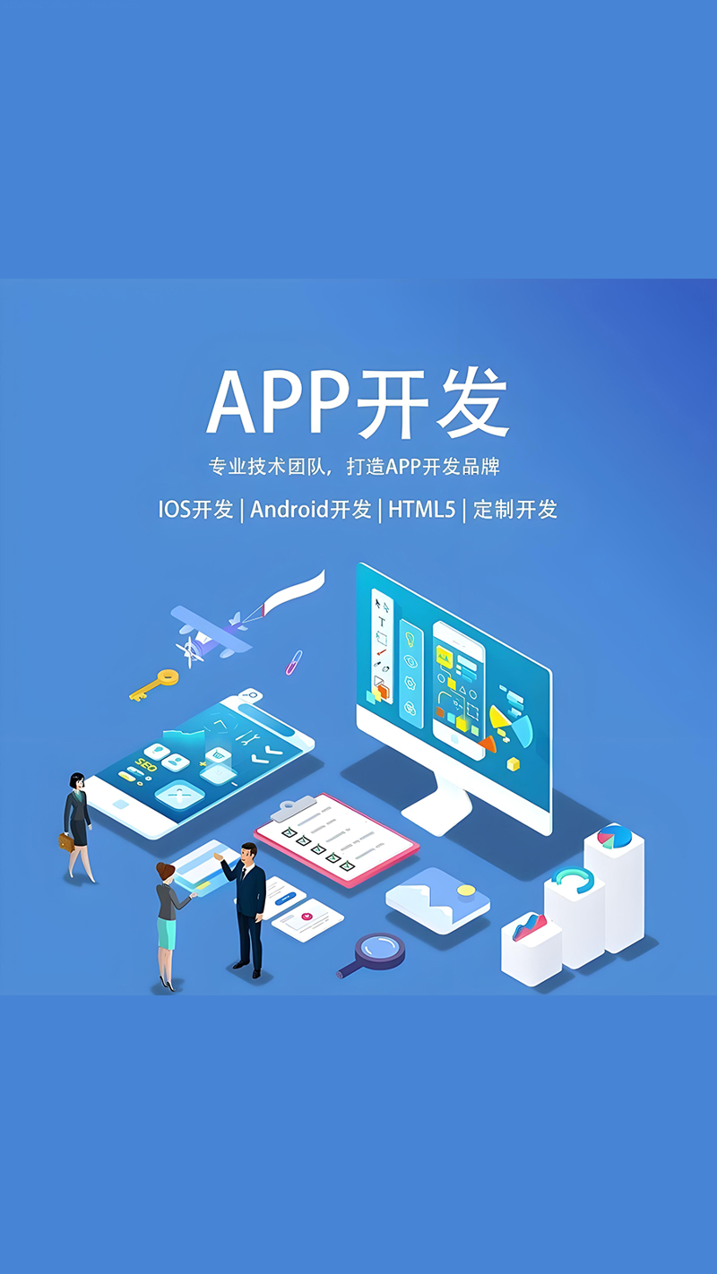 上海软件开发：数字化转型的新引擎